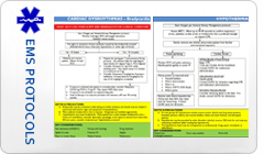 ems training schedule regional